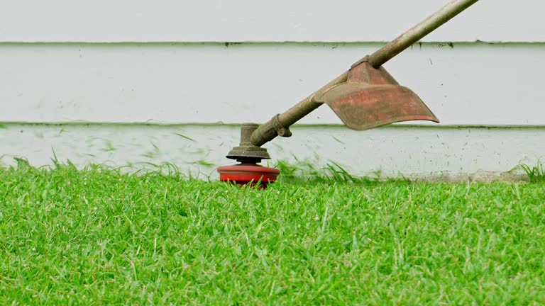 Best Grass Overseeding  in Seco Mines, TX