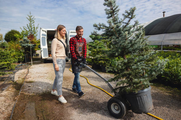 Best Pest Control for Lawns  in Seco Mines, TX